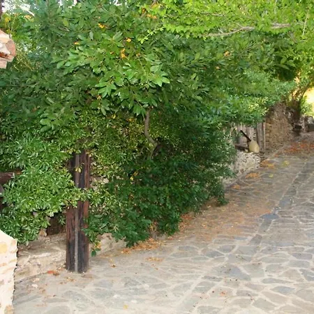 Katerina's House Διαμέρισμα Σιθωνία